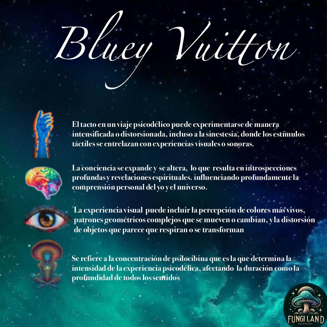 Bluey Vuitton: La Cepa Elegida por la Naturaleza