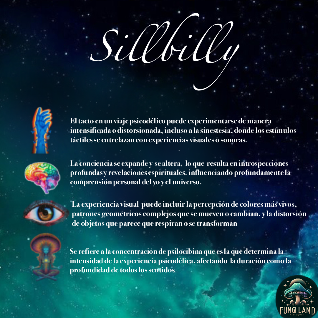 Shillbilly  es una cepa que no busca impresionar