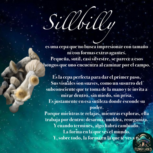 Shillbilly  es una cepa que no busca impresionar
