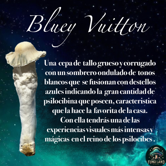 Bluey Vuitton: La Cepa Elegida por la Naturaleza
